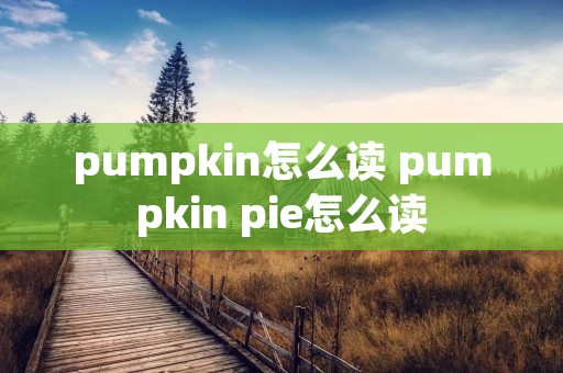 pumpkin怎么读 pumpkin pie怎么读