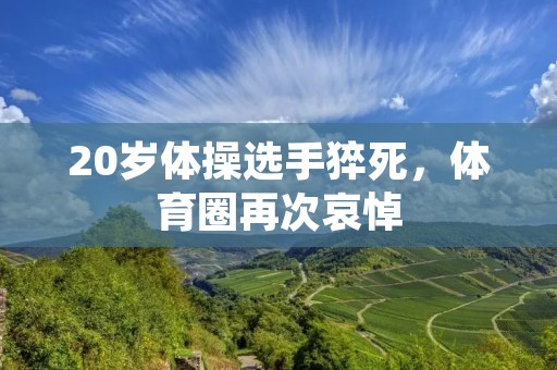 20岁体操选手猝死，体育圈再次哀悼
