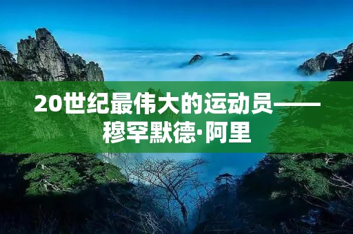20世纪最伟大的运动员——****·阿里
