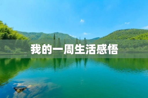 我的一周生活感悟