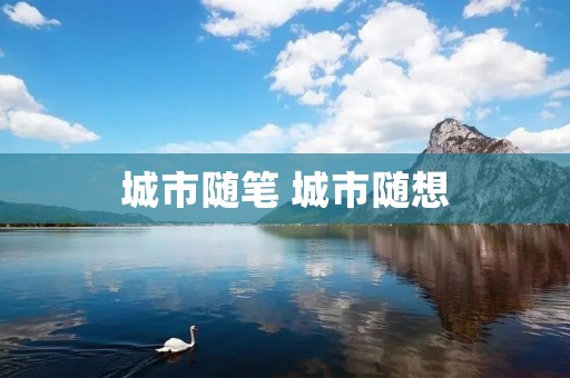 城市随笔 城市随想