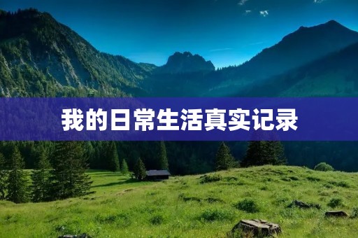 我的日常生活真实记录