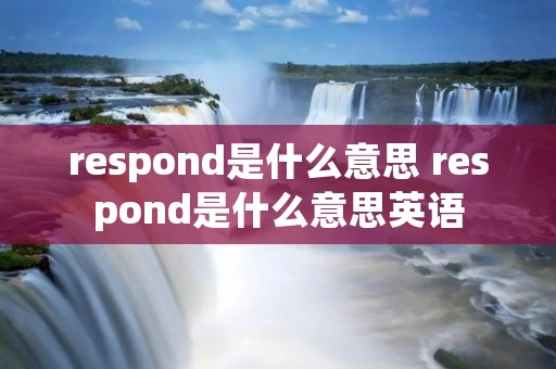 respond是什么意思 respond是什么意思英语