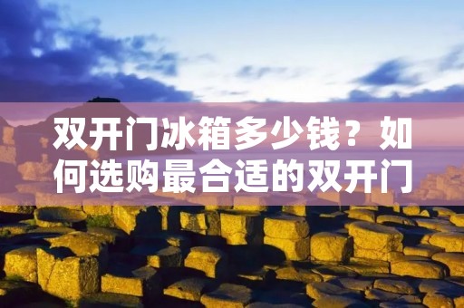 **门冰箱多少钱?如何选购最合适的**门冰箱? **门冰箱多少钱?如何选购最合适的**门冰箱?