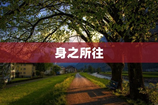 身之所往:探讨身体对情绪和行为的影响