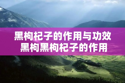 黑枸杞子的作用与功效 黑枸黑枸杞子的作用与功效 黑枸杞子的作用与功效 黑枸黑枸杞子的作用与功效