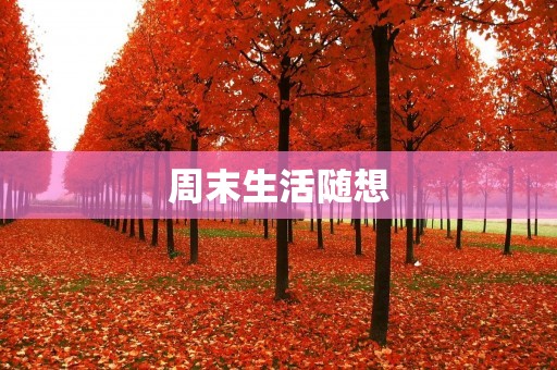 周末生活随想