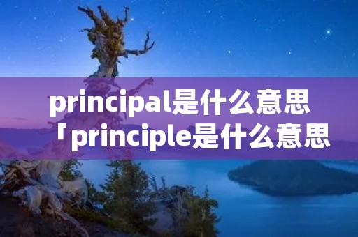 principal是什么意思「principle是什么意思」