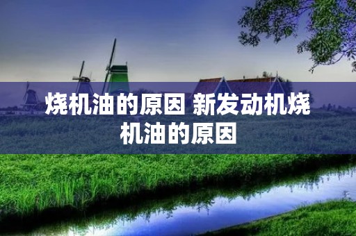 烧机油的原因 新发动机烧机油的原因