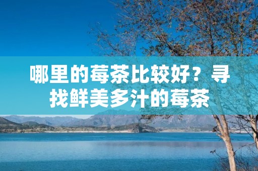 哪里的莓茶比较好?寻找鲜美多汁的莓茶