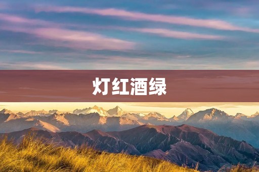 灯红酒绿：城市夜生活的真相