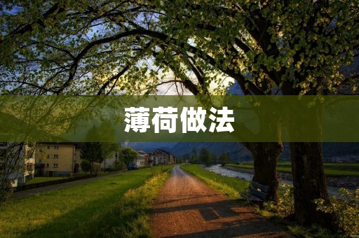 薄荷做法:让你轻松享受清新口感 薄荷做法:让你轻松享受清新口感