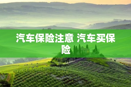 汽车保险注意 汽车买保险