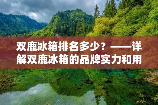 双鹿冰箱排名多少？——详解双鹿冰箱的品牌实力和用户口碑