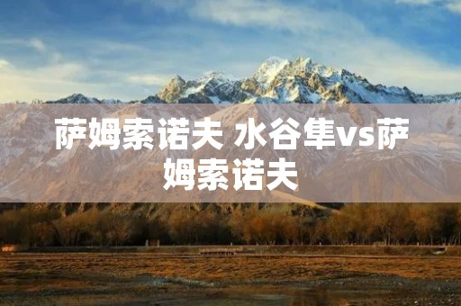 萨姆索诺夫 水谷隼vs萨姆索诺夫