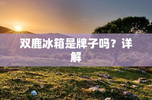 双鹿冰箱是牌子吗？详解