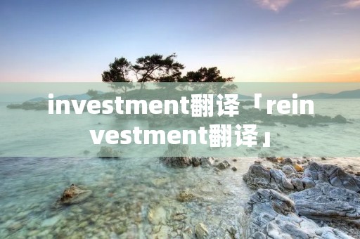 investment翻译「reinvestment翻译」