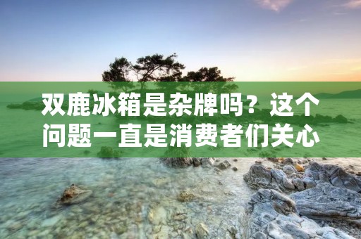 双鹿冰箱是杂牌吗?这个问题一直是消费者们关心的焦点。在市场上,双鹿冰箱的价格相对便宜,但是质量如何呢?双鹿冰箱到底是不是杂牌呢?接下来,本文将对这一问题进行详细的分析和解答。 双鹿冰箱是杂牌吗?这个问题一直是消费者们关心的焦点。在市场上,双鹿冰箱的价格相对便宜,但是质量如何呢?双鹿冰箱到底是不是杂牌呢?接下来,本文将对这一问题进行详细的分析和解答。