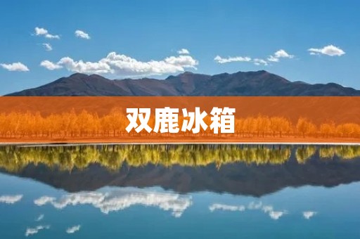 双鹿冰箱:品牌的定义与解析 双鹿冰箱:品牌的定义与解析
