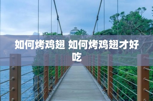如何烤鸡翅 如何烤鸡翅才好吃