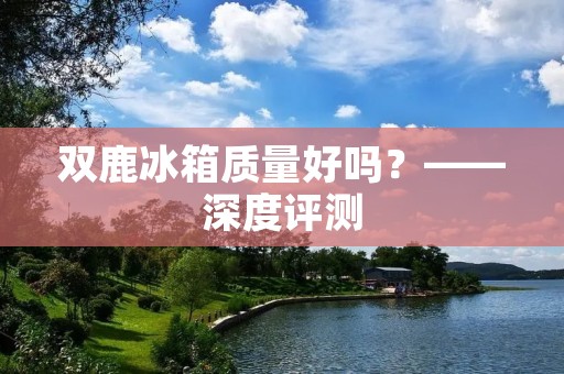 双鹿冰箱质量好吗?——深度评测 双鹿冰箱质量好吗?——深度评测