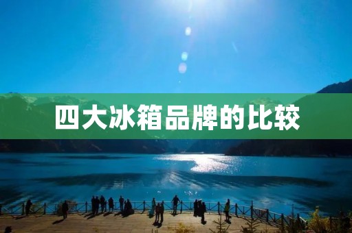 四大冰箱品牌的比较