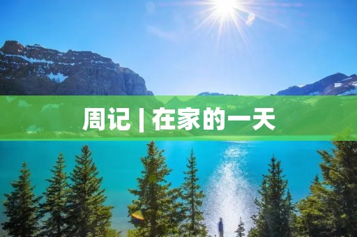周记 | 在家的一天 周记 | 在家的一天