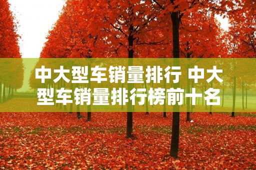 中大型车销量排行 中大型车销量排行榜前十名