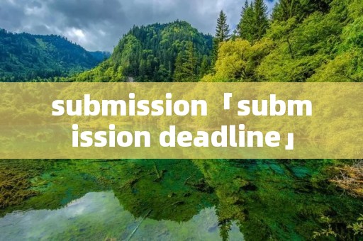 submission「submission deadline」