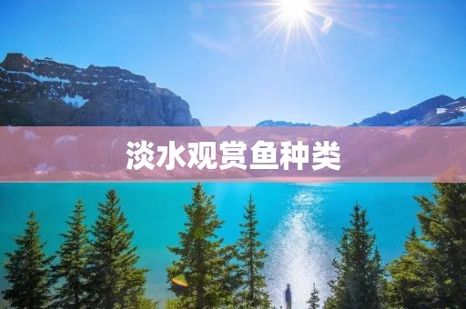 淡水观赏鱼种类:饲养指南与常见疾病防治