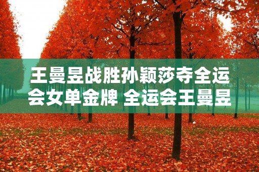 王曼昱战胜孙颖莎夺全运会女单金牌 全运会王曼昱vs孙颖莎 王曼昱战胜孙颖莎夺全运会女单金牌 全运会王曼昱vs孙颖莎