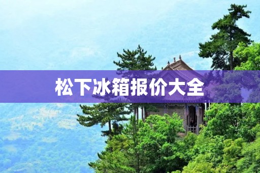 松下冰箱报价大全:品质与实用兼备的选择 松下冰箱报价大全:品质与实用兼备的选择