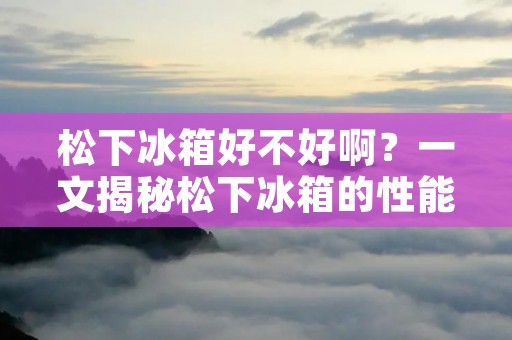 松下冰箱好不好啊？一文揭秘松下冰箱的性能和品质