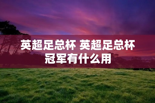英超足总杯 英超足总杯冠军有什么用