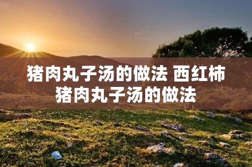 猪肉丸子汤的做法 西红柿猪肉丸子汤的做法