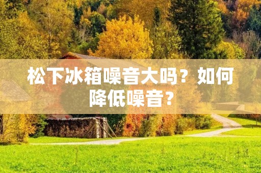 松下冰箱噪音大吗？如何降低噪音？