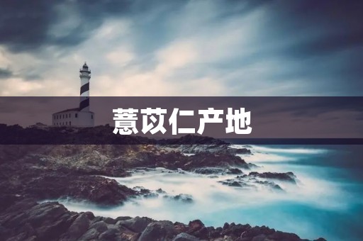 薏苡仁产地:了解薏苡仁的种植和产地