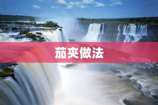 茄夹做法：美味又简单的家常小吃