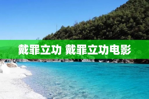 戴罪立功 戴罪立功电影