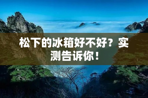 松下的冰箱好不好?实测告诉你! 松下的冰箱好不好?实测告诉你!
