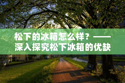 松下的冰箱怎么样？——深入探究松下冰箱的优缺点