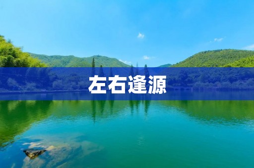 左右逢源：成功的关键