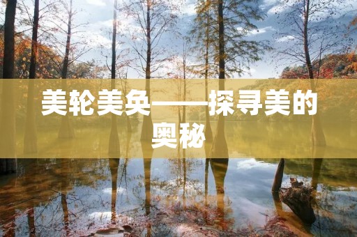 美轮美奂——探寻美的奥秘