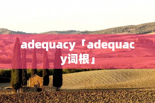 adequacy「adequacy词根」 adequacy「adequacy词根」