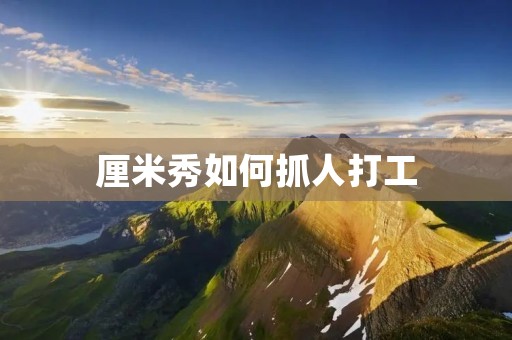 厘米秀如何抓人打工:一份详细指南 厘米秀如何抓人打工:一份详细指南