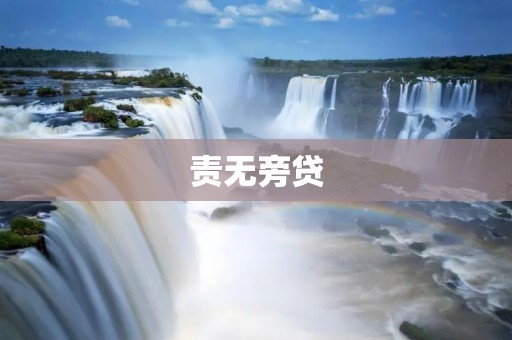 责无旁贷：遇到困难时，我们不能选择逃避，只有勇敢地面对，才能获得成功。