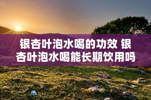 银杏叶泡水喝的功效 银杏叶泡水喝能长期饮用吗