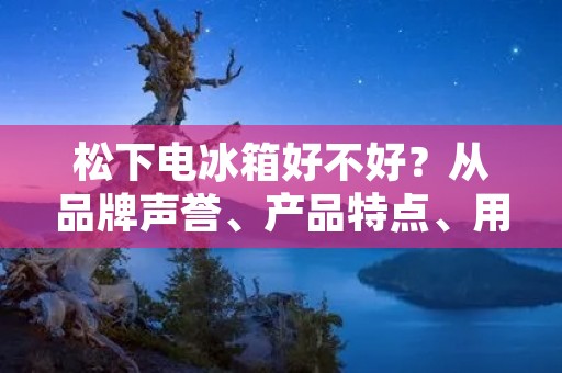 松下电冰箱好不好？从品牌声誉、产品特点、用户评价三个方面进行分析。