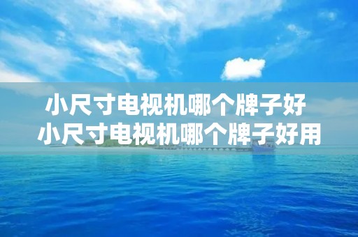 小尺寸电视机哪个牌子好 小尺寸电视机哪个牌子好用