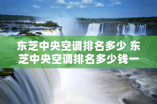 东芝中央空调排名多少 东芝中央空调排名多少钱一台